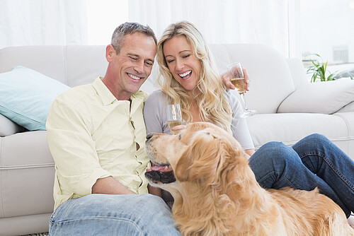 Pour ne plus craindre les maladresses: une assurance ménage All Risk couvre également les dommages causés par l’assuré lui-même, par exemple le nettoyage du canapé en cas de boisson renversée. Photo: màd