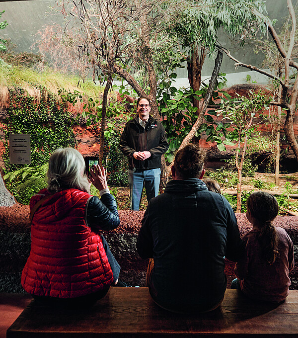 Severin Dressen, directeur du zoo de Zurich, se fait photographier dans l’enclos vide des koalas, comme s’il était un animal. Photo: Jonathan Labusch/Tages-Anzeiger