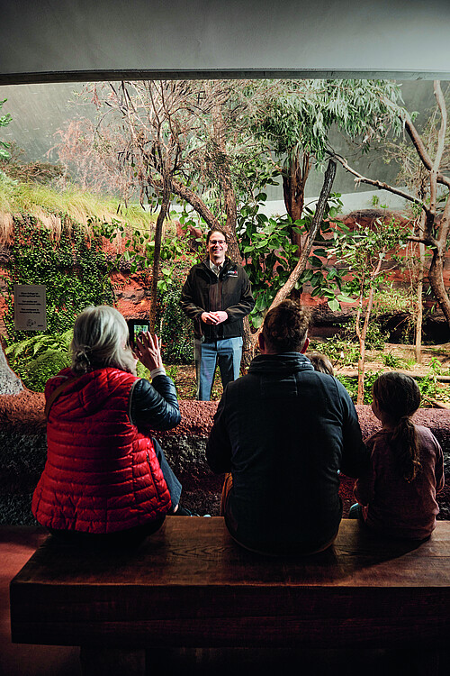 Severin Dressen, directeur du zoo de Zurich, se fait photographier dans l’enclos vide des koalas, comme s’il était un animal. Photo: Jonathan Labusch/Tages-Anzeiger